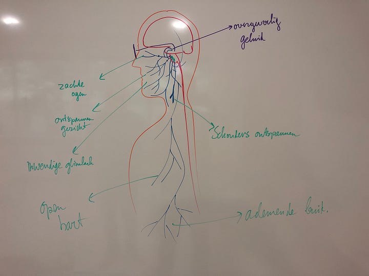 Zomaar twee van de vele whiteboards die ik volgetekend en -geschreven heb met mijn uitleg over de polyvagaaltheorie voor de patiënten in het ziekenhuis die in een groep zitten of individueel bij me komen.