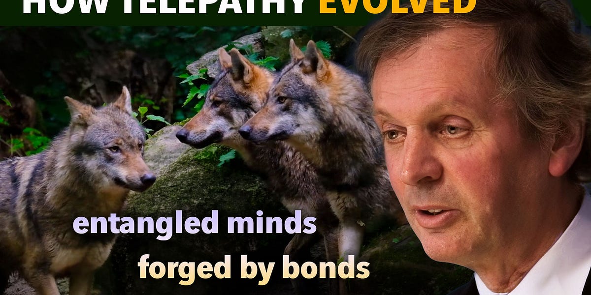 The Evolution of Telepathy - Rupert Sheldrake