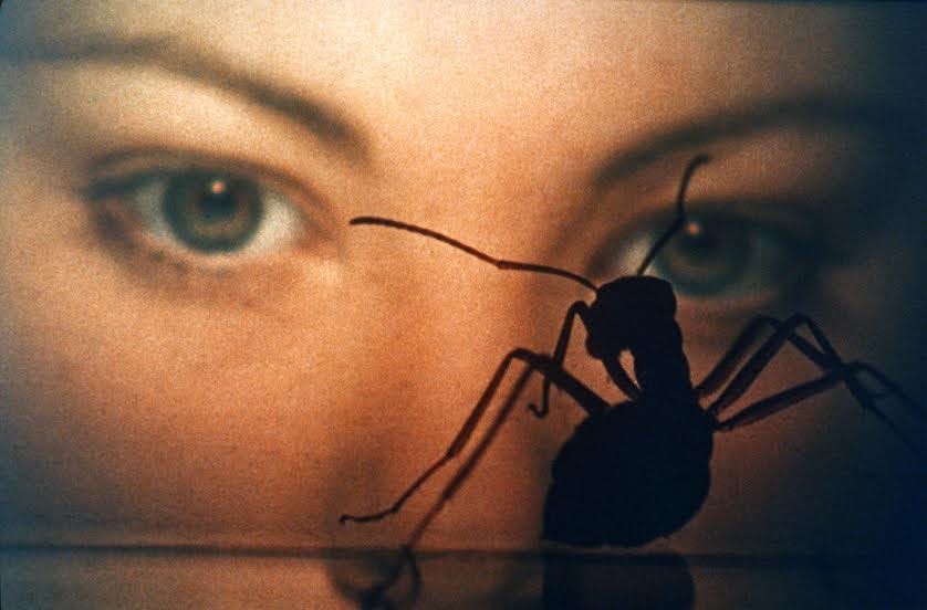 Blu-ray Review] 'Phase IV' - Meh - Bloody Disgusting