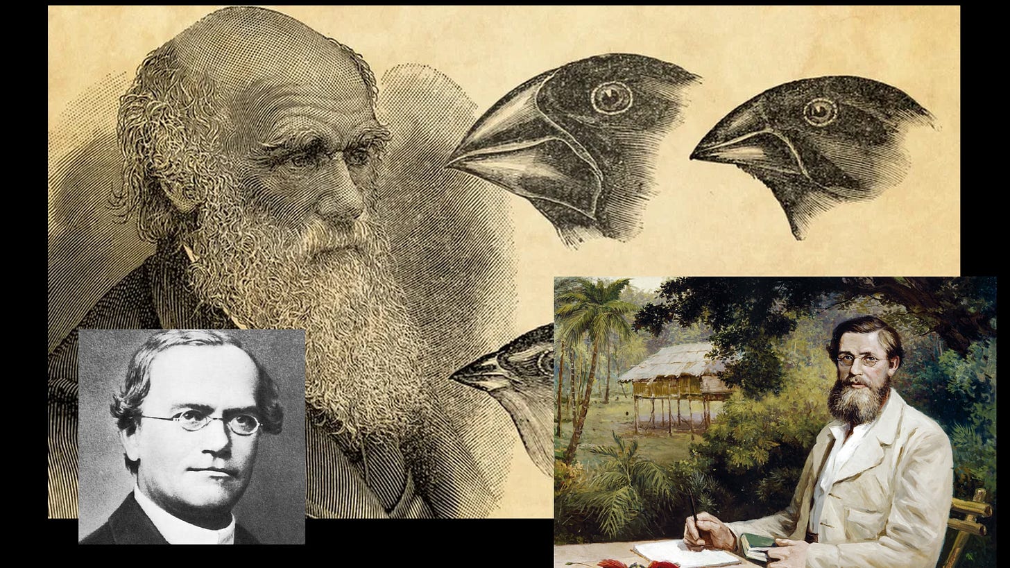 Gregor Mendell, Charles Darwin, and Alfred Wallace Gregor Mendell, Charles Darwin, and Alfred Wallace