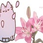 katuchka's avatar