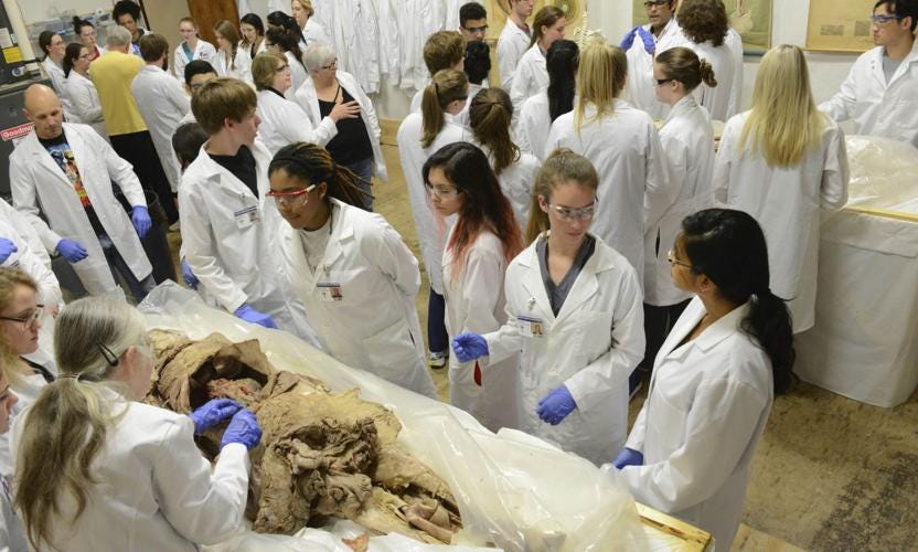 Hands-on: Cadaver lab experience benefits students Hands-on: Cadaver lab experience benefits students
