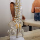 Why you should look after your posture all through your life