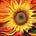 SPW's avatar