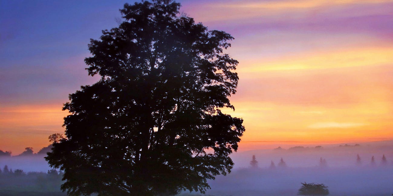 Whoever Believes in the Son Has Eternal Life