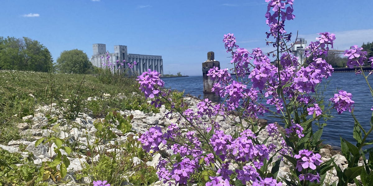 Owen Sound Tourism Development Fund Appoints Tourism Facilitator, Opens Funding for Event Marketing