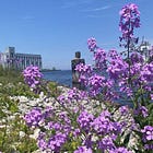 Owen Sound Tourism Development Fund Appoints Tourism Facilitator, Opens Funding for Event Marketing