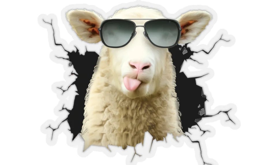 thegoodcitizen.substack.com