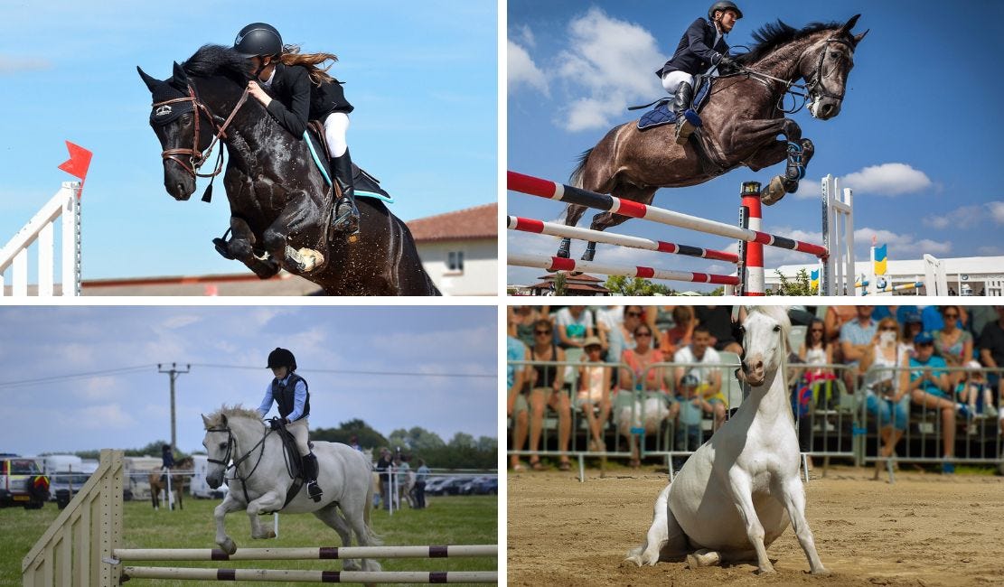 Horse&Field Calendar 