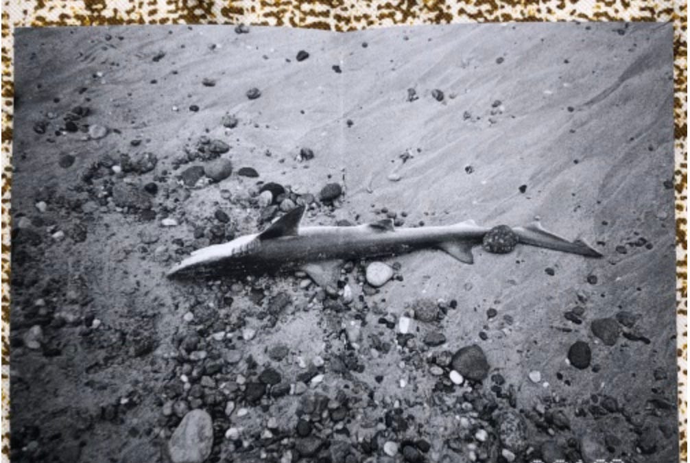 A Conversation with Photographer and Artist Ari Marcopoulos