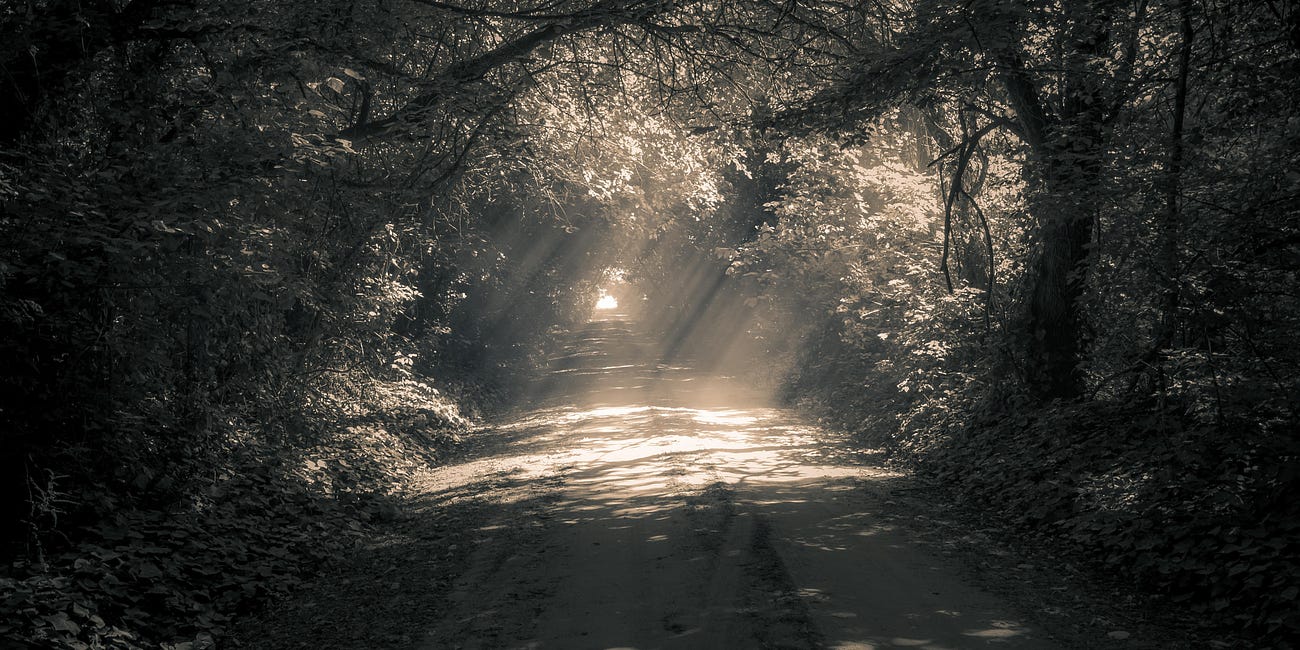 Navigating a Whackadoodle World: Episode 31, or Do some beliefs build a road to violence?