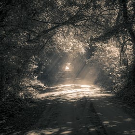 Navigating a Whackadoodle World: Episode 31, or Why do some beliefs lead to violence?