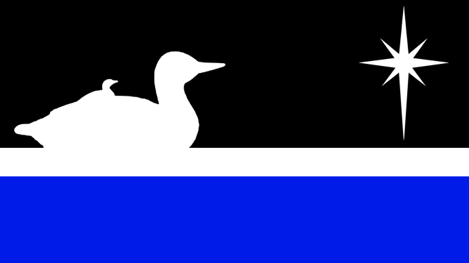The Minnesota Night Flag