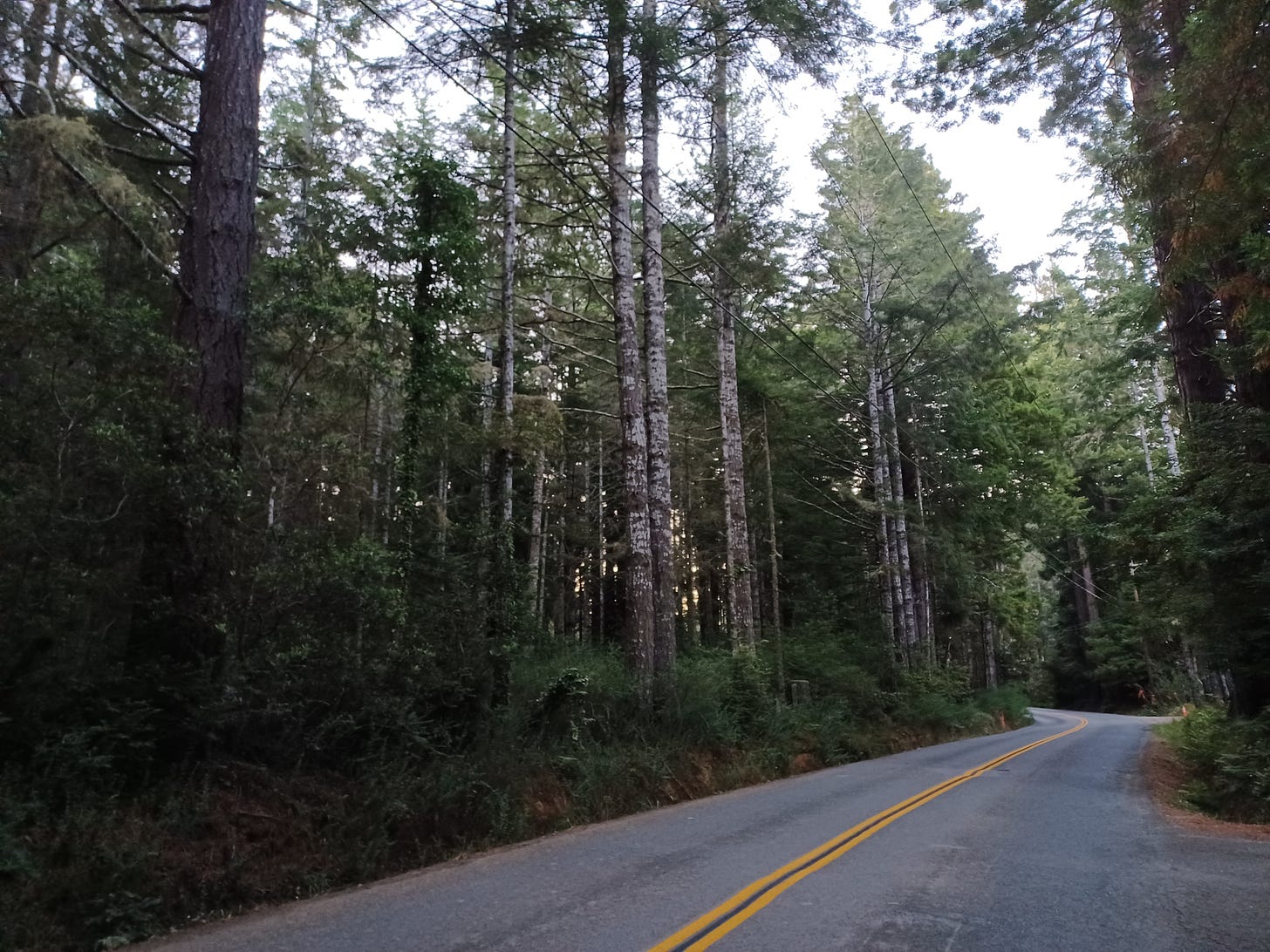 LIttle River, CA