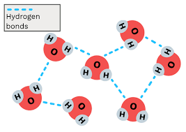Hydrogen bond - Labster