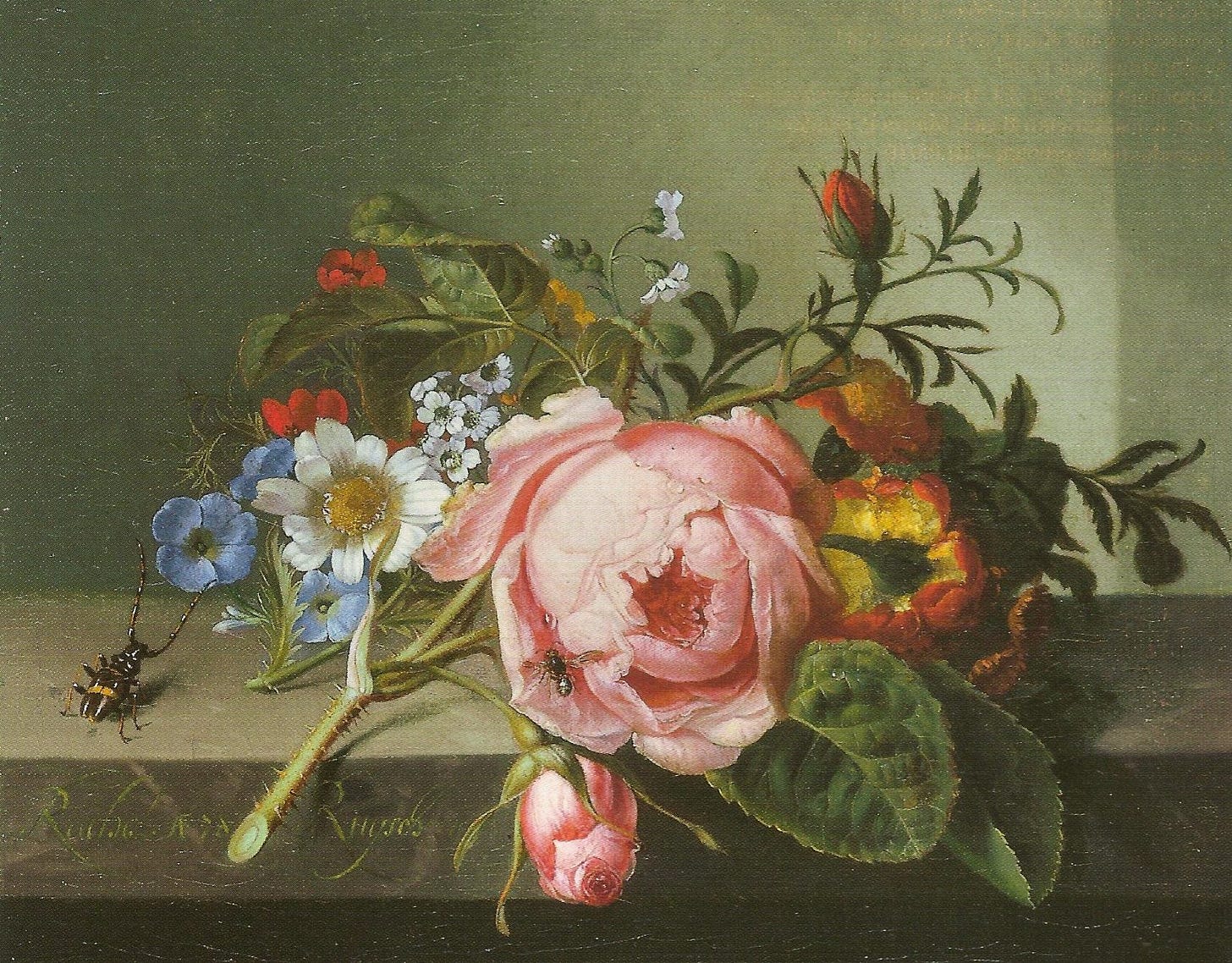 Still Life with Rose Branch, Beetle and Bee (1741)