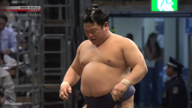 Sumo Stomp! | Tim Bissell | Substack