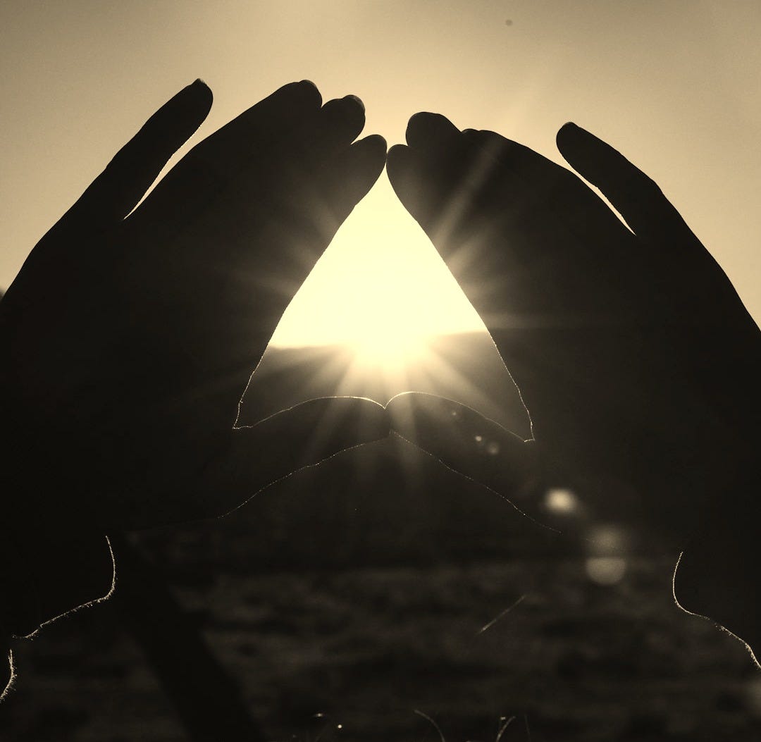 sun rays coming through brown grass