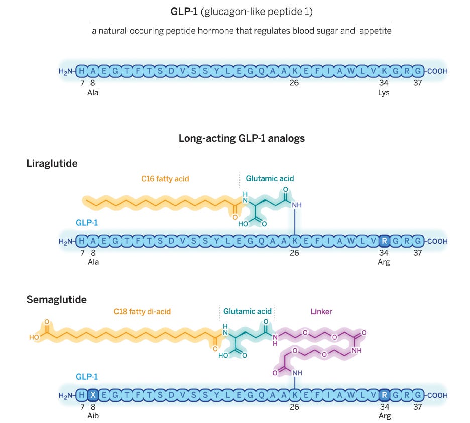 The story of Glucagon-Like-Peptide- 1 (GLP-1)
