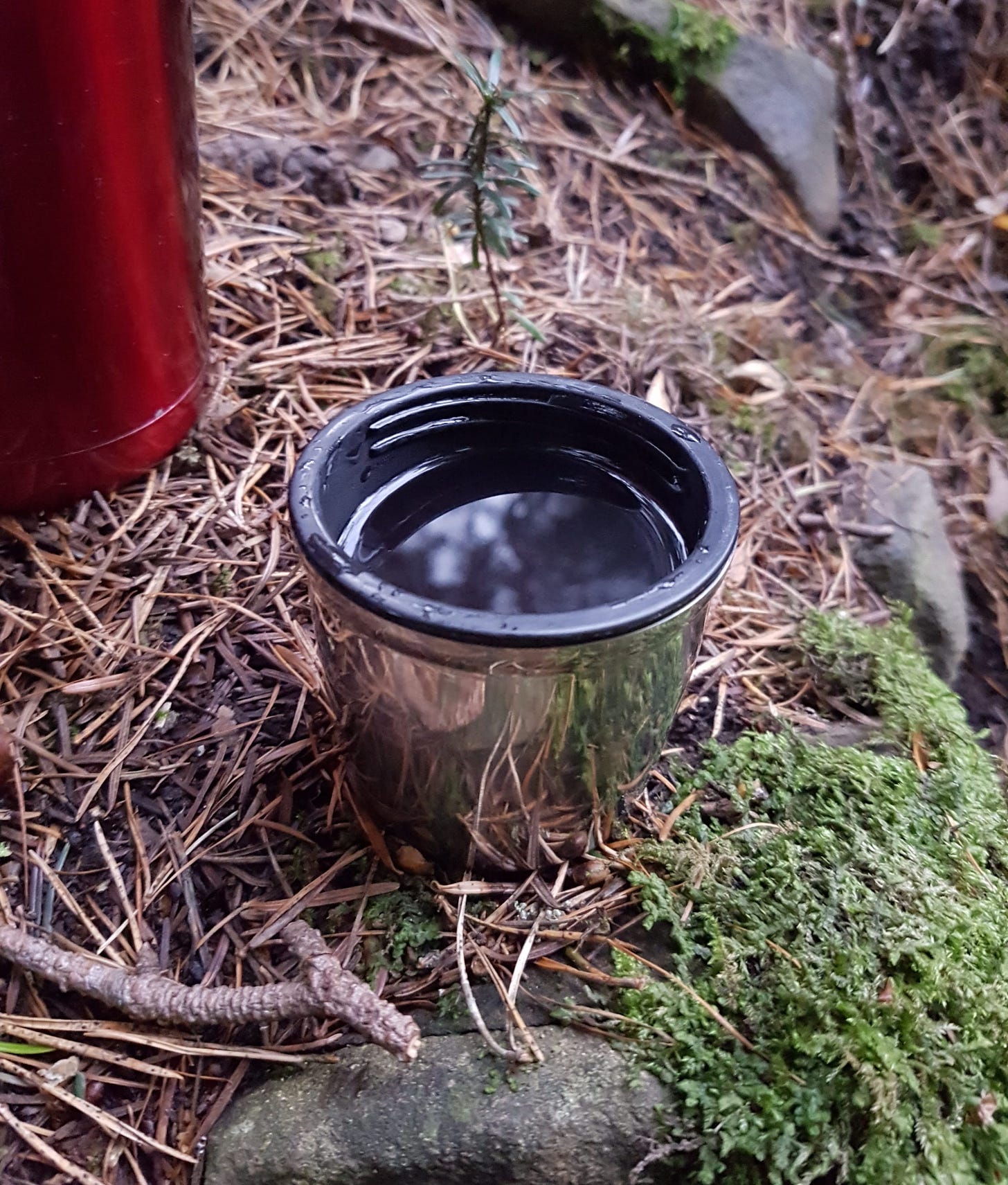 Tea in a thermos cup reflecting the winter solstice sky on the banks of the River Tweed Tea in a thermos cup reflecting the winter solstice sky on the banks of the River Tweed