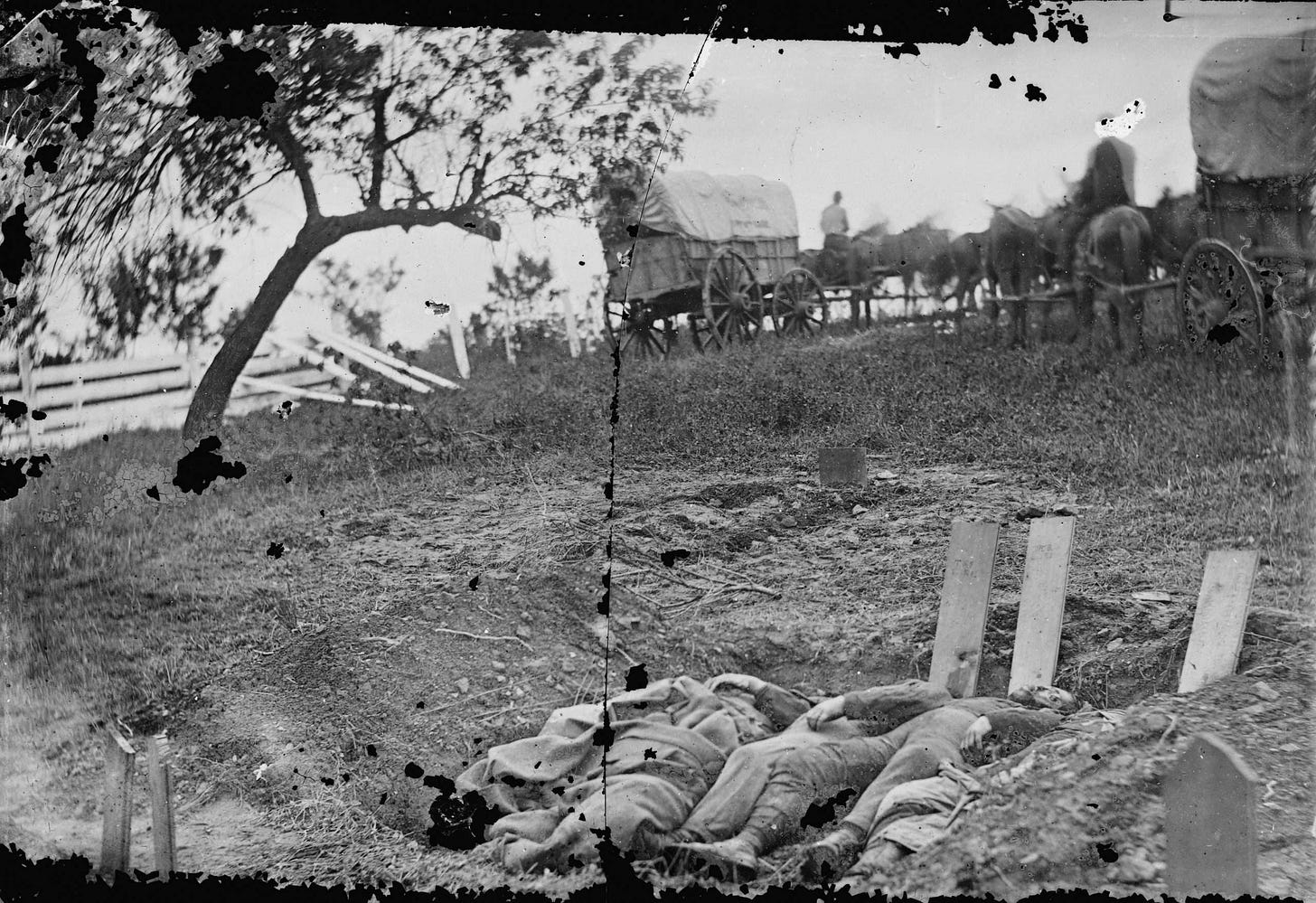a few of the many dead at Gettysburg