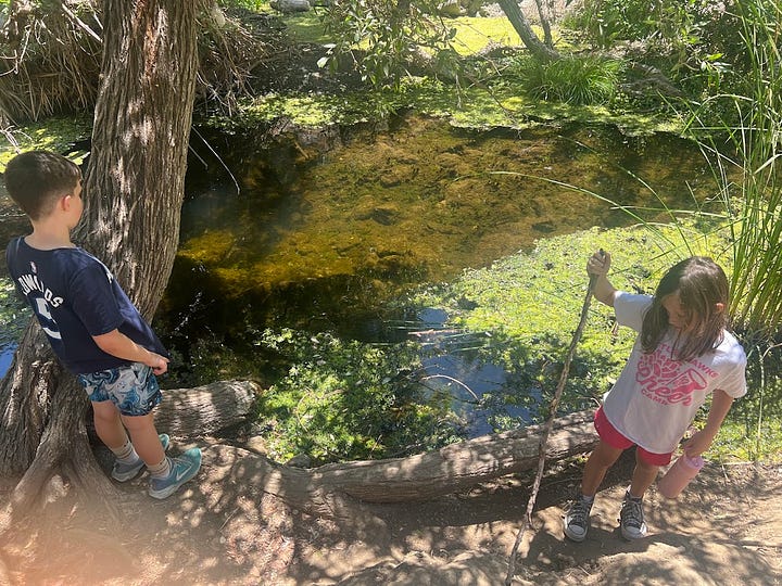 Photos of a desert hike featuring pictures of brown landscape, a waterfall, the author, a teepee, and a fence post with a quote on it.