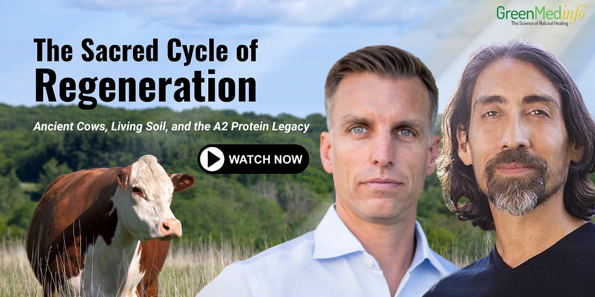 The Sacred Cycle of Regeneration: Ancient Cows, Living Soil, and the A2 Protein Legacy