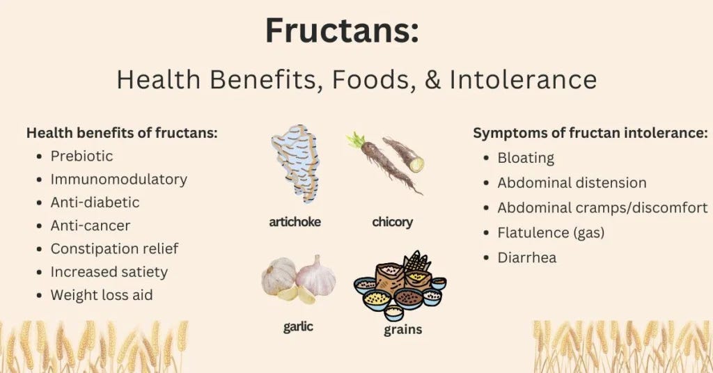 fructan health effects

