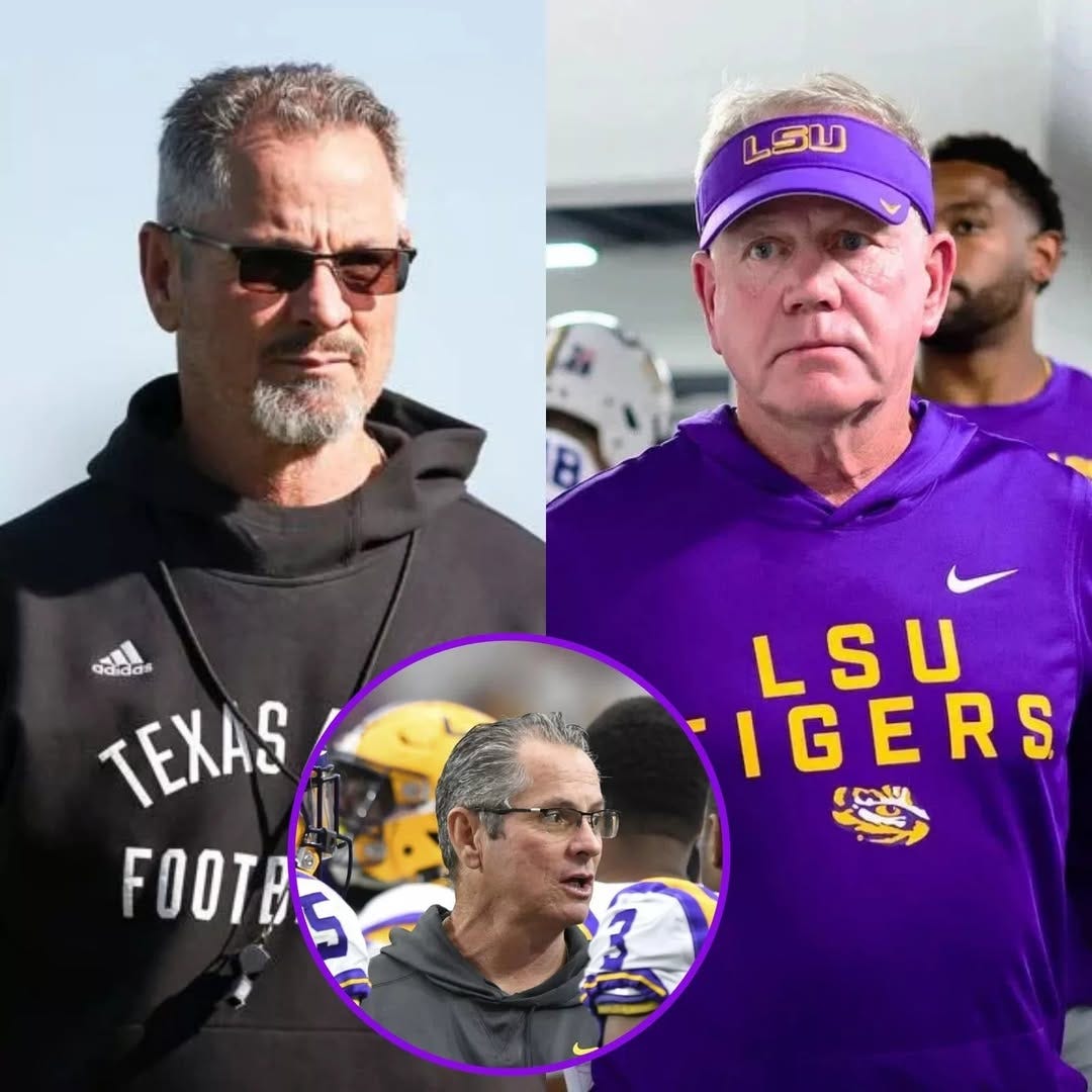 Puede ser una imagen de fútbol americano y texto que dice "LSU adidas 圖量 TEXAS FOOTE LSU IGERS"