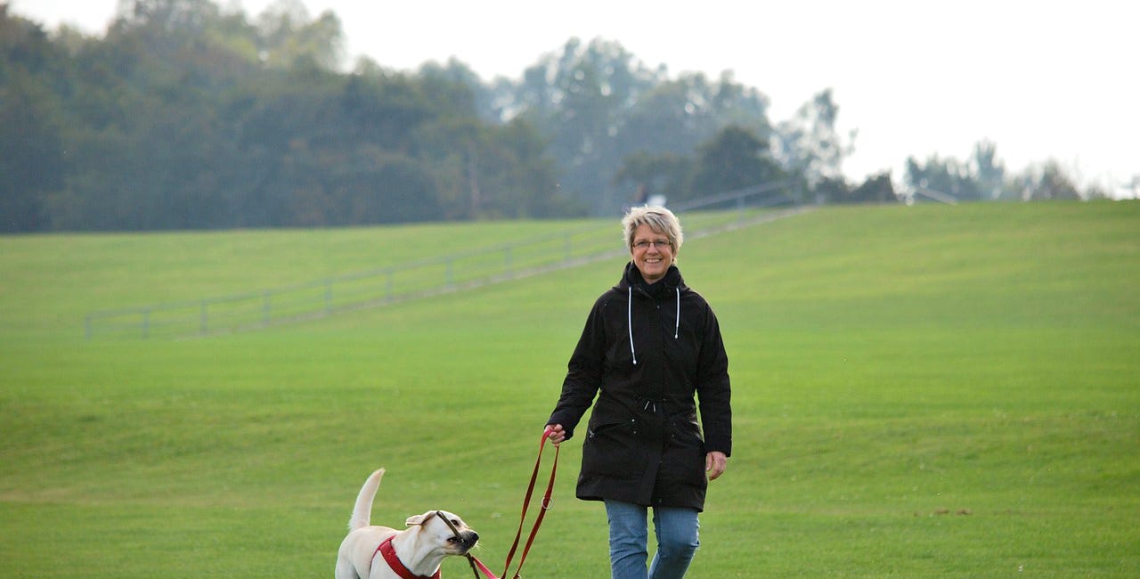Vital Animal News: September 28, 2025