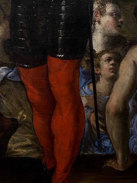 Detail of a red velvet garment in a Venetian painting