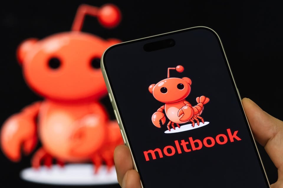 Moltbook is a social network just for AI agents, and they're posting some fairly odd and interesting things.