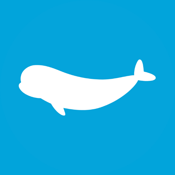 Beluga Hub: Outlier Stories logo