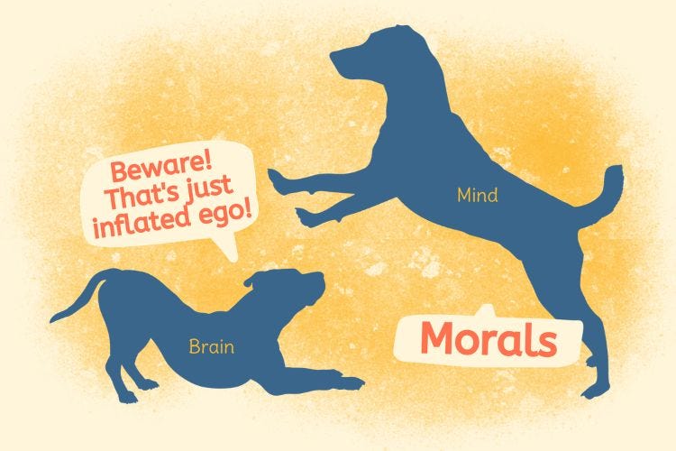 Super-ego Comprising Morals Super-ego Comprising Morals