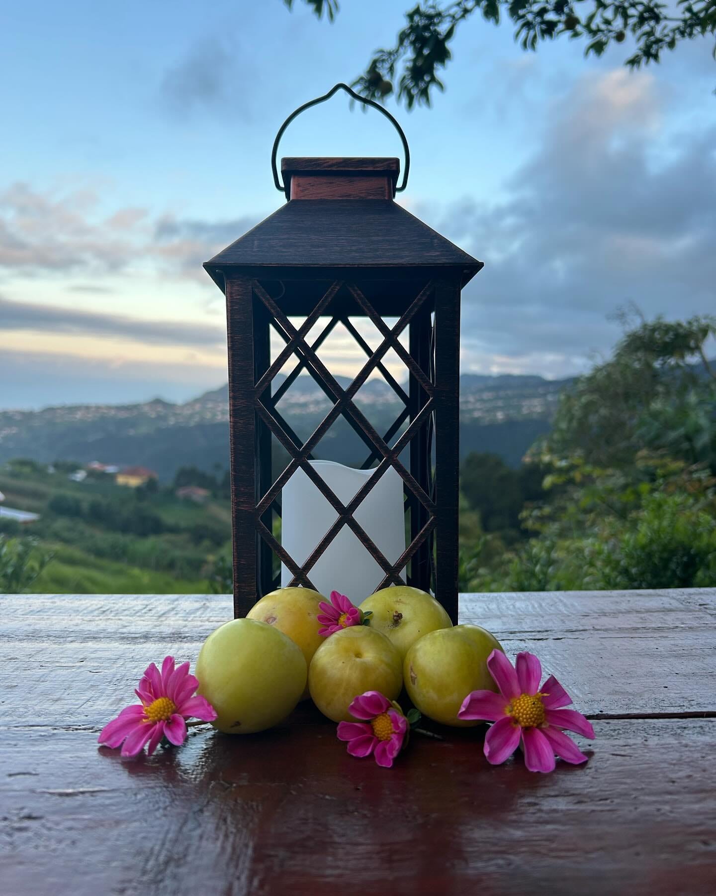 No photo description available.