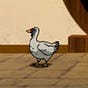 duck's avatar
