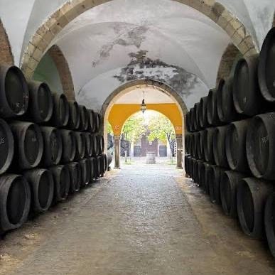 Spanish Wine Collective