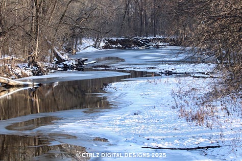 A collection of 9 images celebrating winter with deer, ducks, eagles, squirrels, and other scenic images