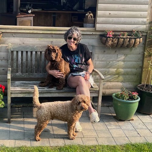 The image shows Hannah Webster sitting on a wooden bench outdoors, with a rustic wooden structure in the background. She is holding a brown dog on her lap, and another lighter brown dog is standing on the ground in front of her. The setting appears to be a garden or patio area with potted plants and flowers. The woman is wearing a casual outfit, including a dark t-shirt, shorts, and light-colored footwear. The atmosphere is relaxed and sunny.