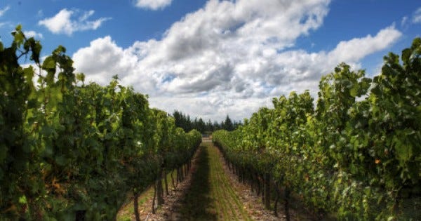 Forgiving Ahab: Naboth's vineyard and God's justice  | Dr. Marcus Peter