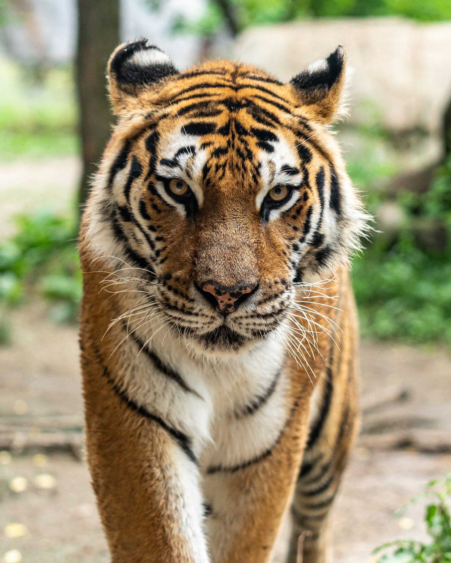 https://images.unsplash.com/photo-1561731216-c3a4d99437d5?ixlib=rb-1.2.1&q=85&fm=jpg&crop=entropy&cs=srgb https://images.unsplash.com/photo-1561731216-c3a4d99437d5?ixlib=rb-1.2.1&q=85&fm=jpg&crop=entropy&cs=srgb
