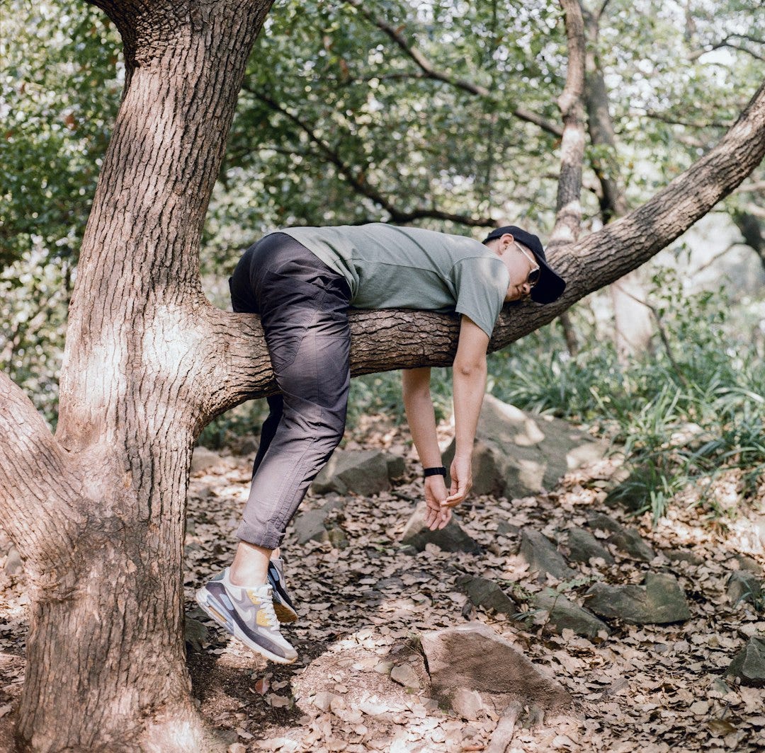 man in black t-shirt and blue denim jeans sitting on tree branch man in black t-shirt and blue denim jeans sitting on tree branch