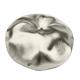 The Strawberry Blonde