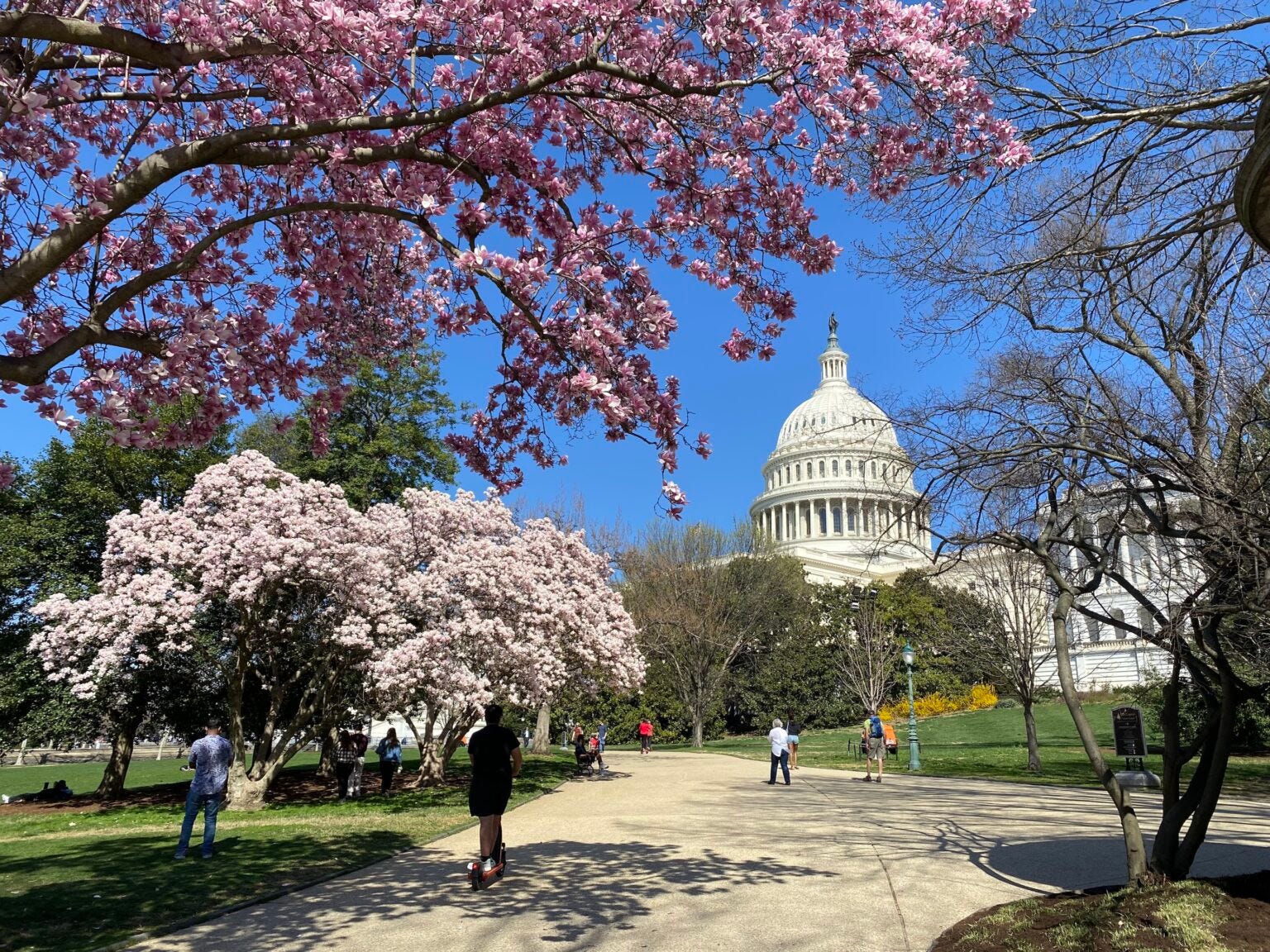 The U.S. Capitol in Washington, D.C., is pictured on Thursday, March 14, 2024. (Photo by Jennifer Shutt/States Newsroom) The U.S. Capitol in Washington, D.C., is pictured on Thursday, March 14, 2024. (Photo by Jennifer Shutt/States Newsroom)