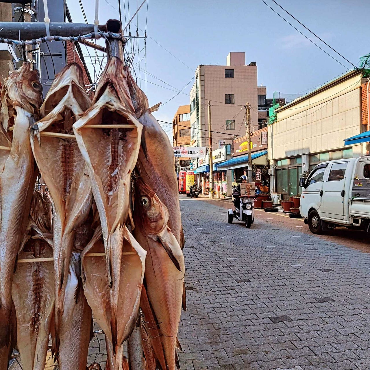 The World According to Tharp