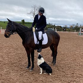 Dressage finale at Lusk's