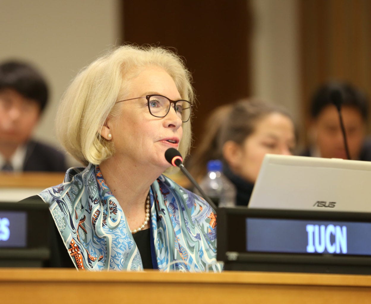 Interview with Kristina Gjerde – DOSI