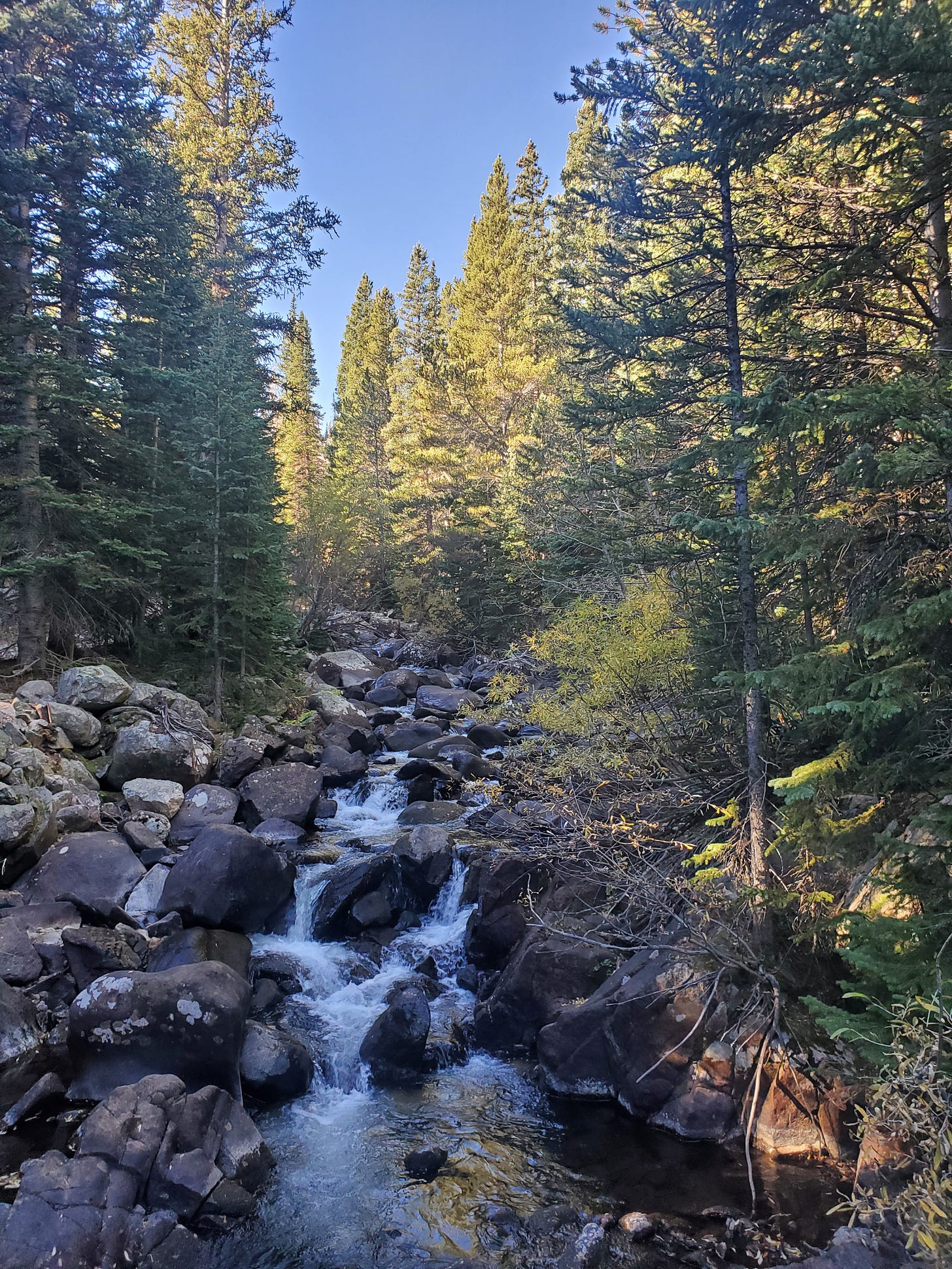 Image of a stream flowing over smooth river rocks surrounded by tall trees below a blue sky. Image of a stream flowing over smooth river rocks surrounded by tall trees below a blue sky.