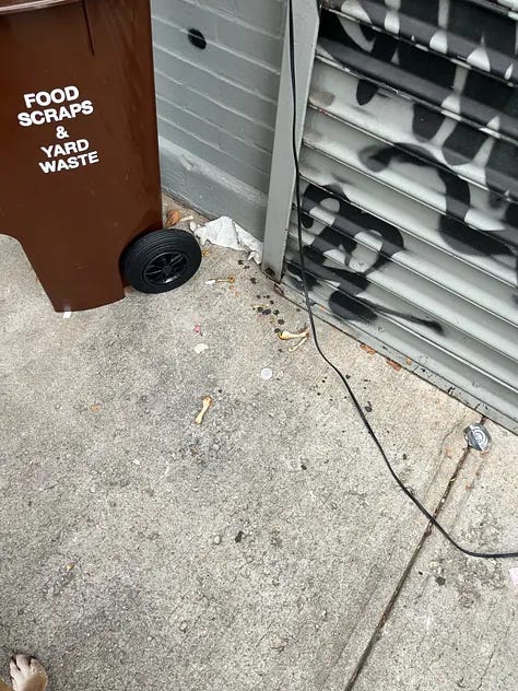 photos of sidewalks in NYC with chicken bones