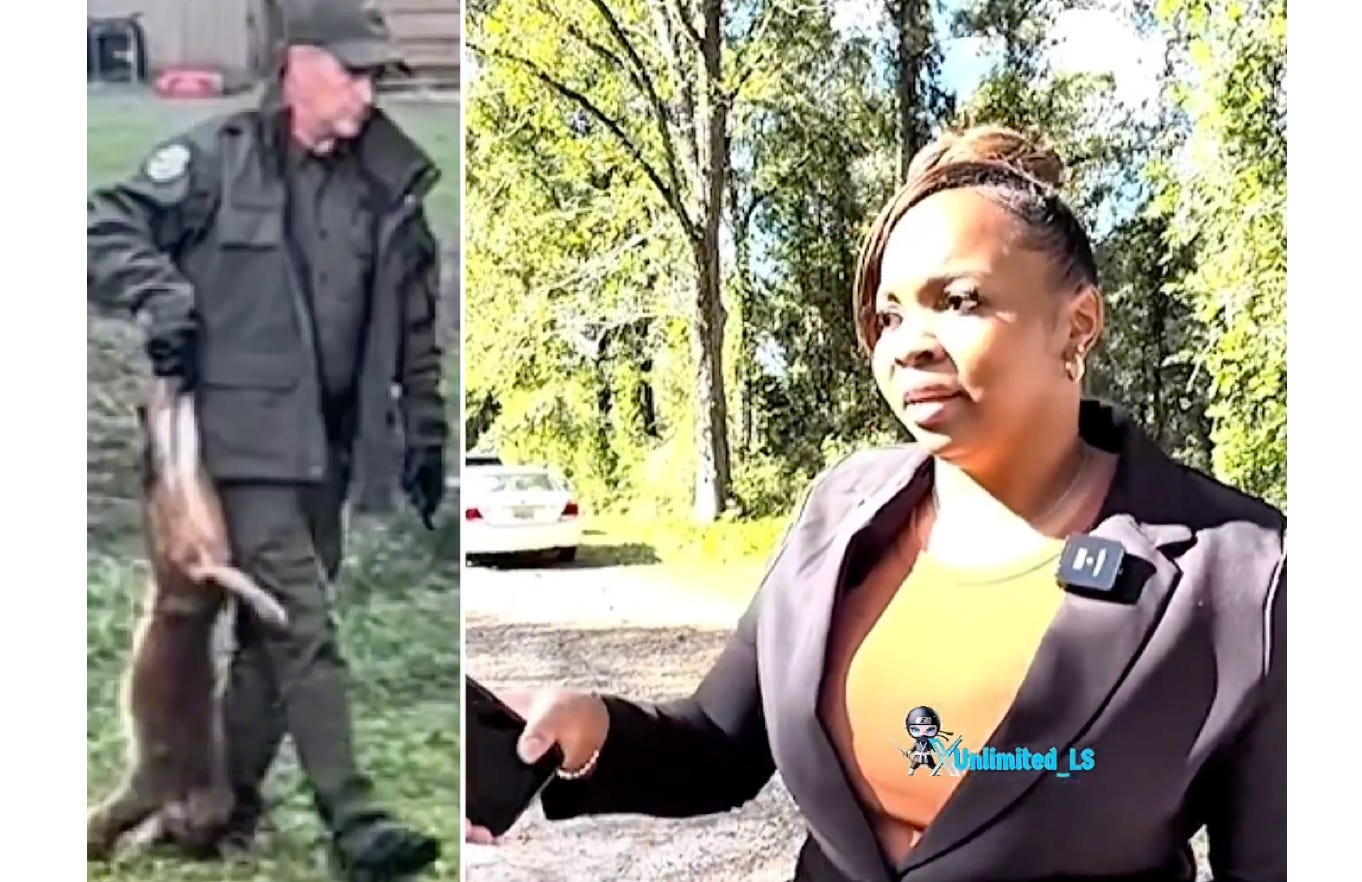 image 12.png image 12.png